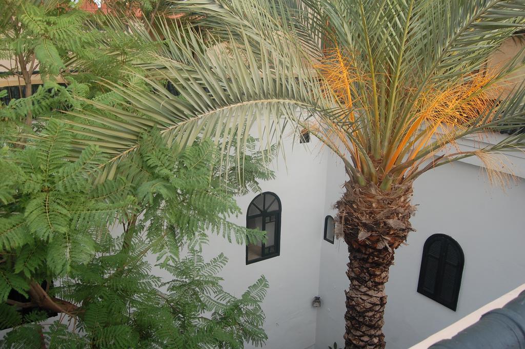 Riad O Ly مراكش المظهر الخارجي الصورة